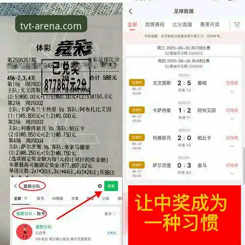 TVT安全可靠 TVT体育平台全面解析:安全可靠的娱乐体验深度分析